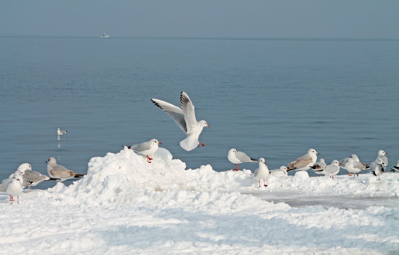 Wintersport am Bodensee