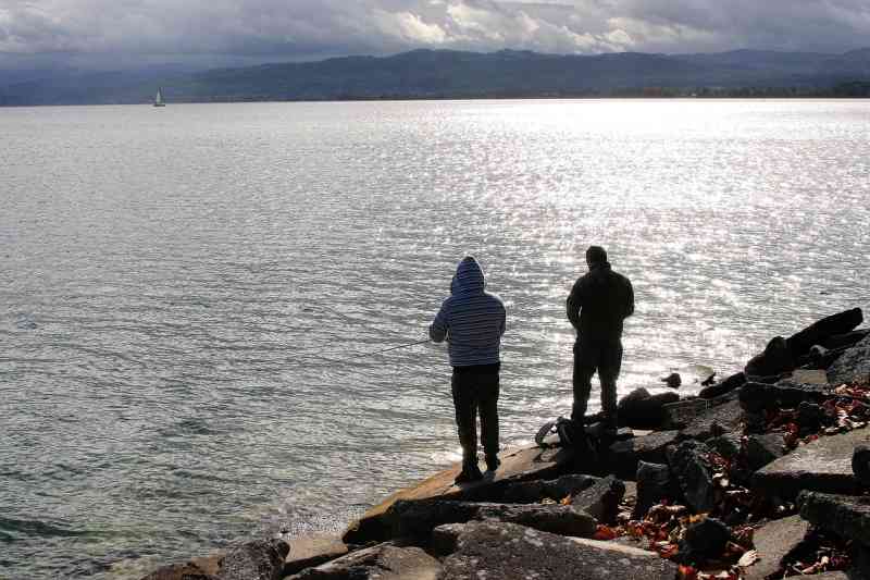 Angelurlaub am Bodensee