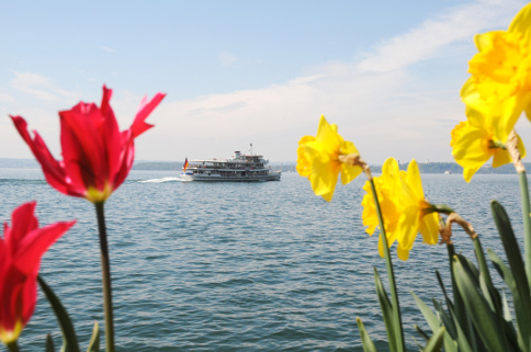 Bodensee Frühling