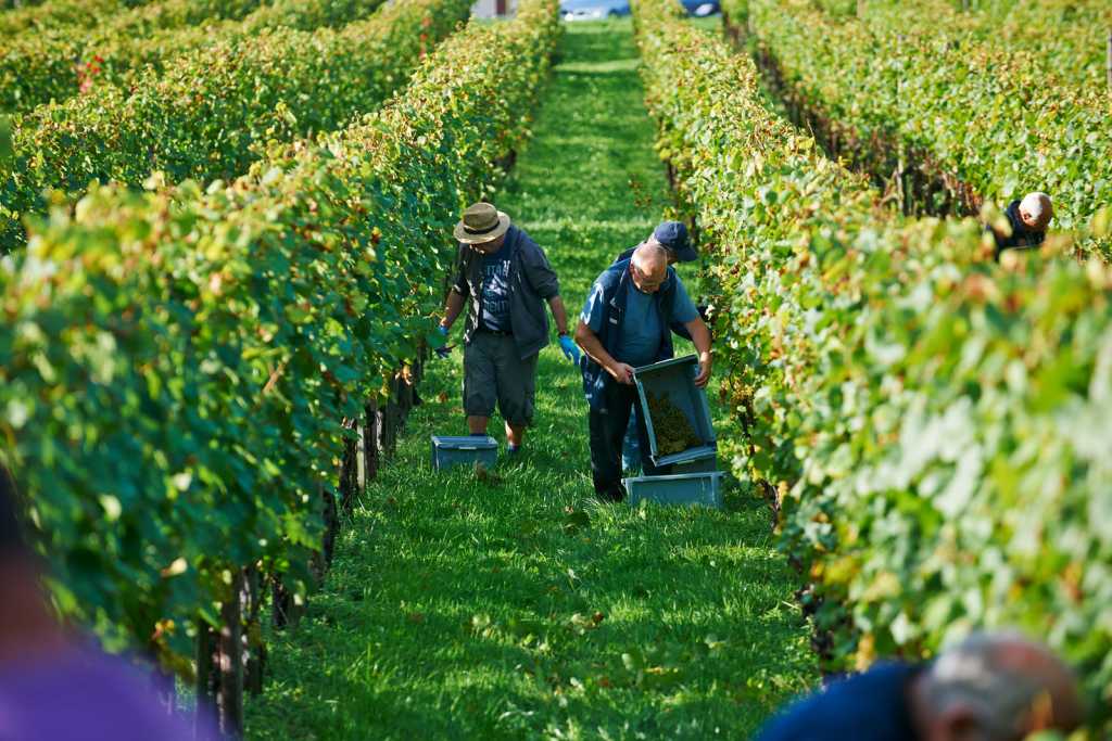 Der Bodensee im Herbst: Vier Länder in einer Fünf Sterne-Landschaft