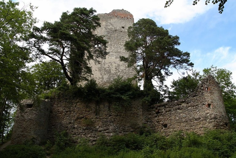 Burgruine Alt-Bodman Burgruine Alt-Bodman