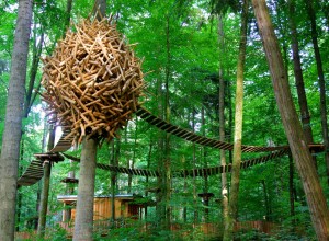 Erlebniswald Mainau - Astbaumhaus