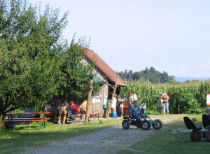 Maislabyrinth in Kressbronn