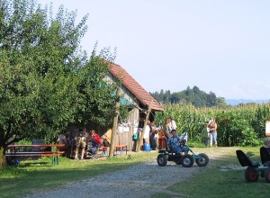 Zwischen Feldern und Obstwiesen bei Nitzenweiler, einem Ortsteil der Gemeinde Kressbronn am Bodensee, liegt der verrückte Irrgarten von Bauer Arthur Späth – ein Sommerabenteuer für die ganze Familie.