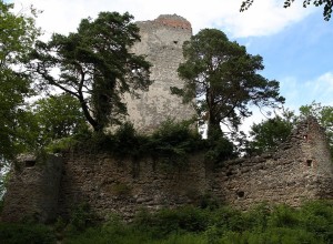 Burgruine Alt-Bodman