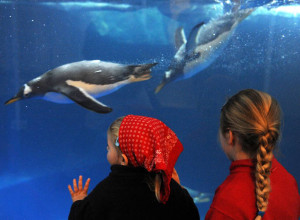 Sea Life Konstanz