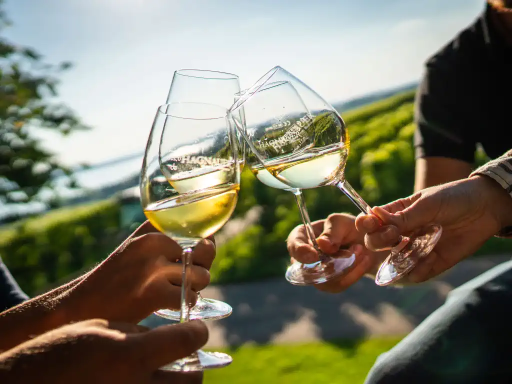 Ob traditionsreiche Weinfeste, Weinwanderungen oder Degustationen zwischen Reben und See: Die Weinregion Bodensee lädt den ganzen Sommer und Herbst über zu genussvollen Erlebnissen ein.